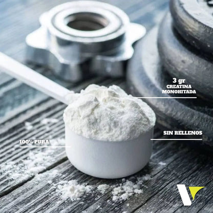 Creatine Time x 100 Servicios - Vitanas